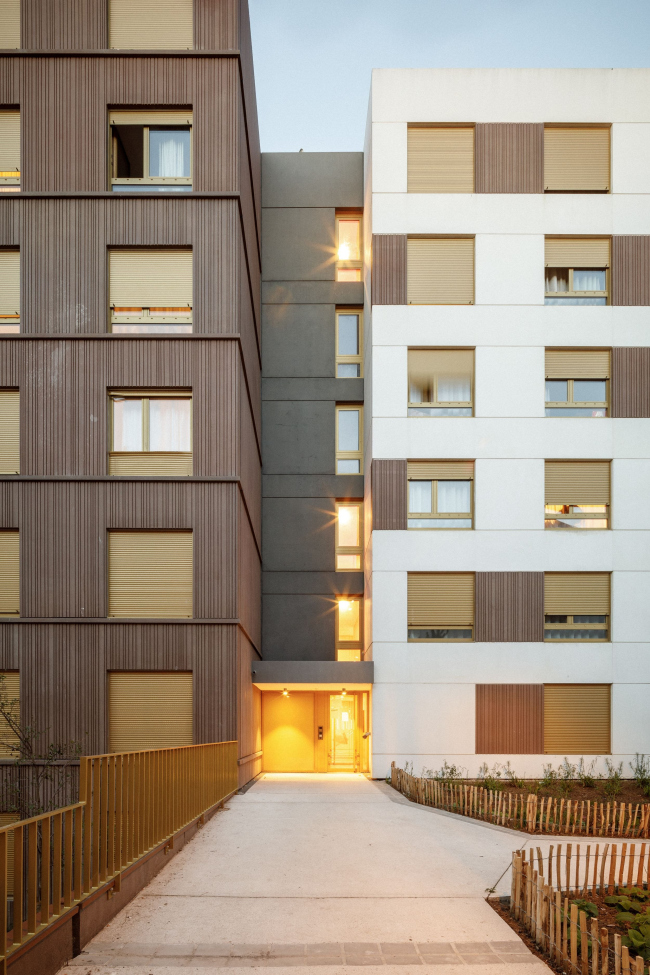 ���������� ��������� Jonquille