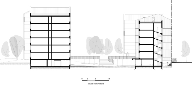 ���������� ��������� Jonquille