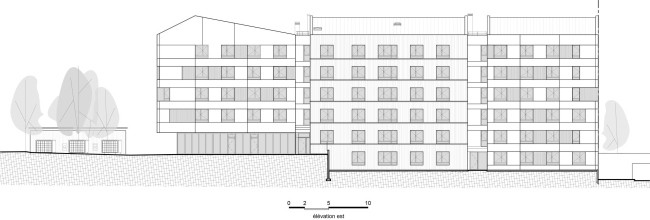 ���������� ��������� Jonquille