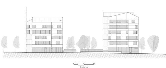 ���������� ��������� Jonquille