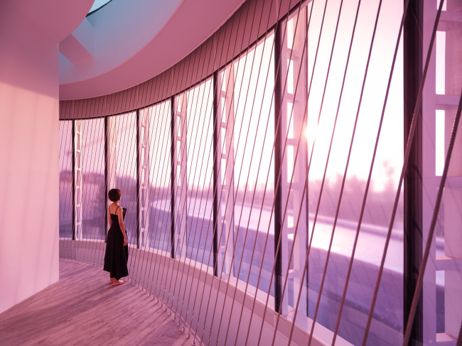 ����� �������� ��������