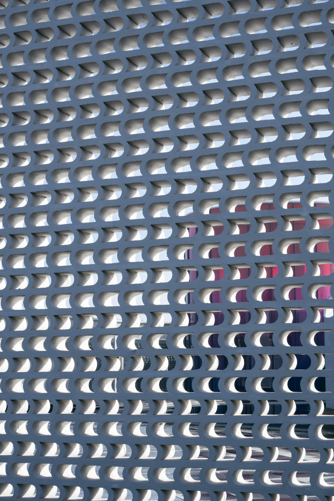 ����� �������� ��������