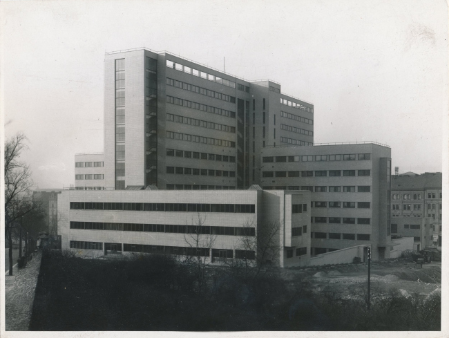 ��� ���������. ������������ ����