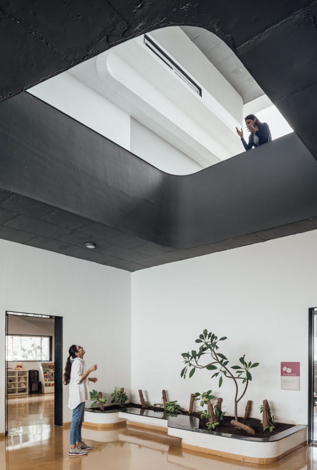 ������� ��� Northstar Nest