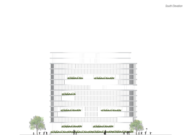 ������� ��� Northstar Nest