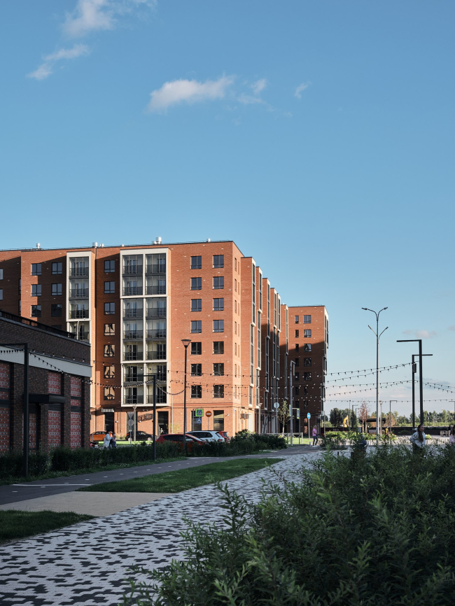 �� �NEW-����л