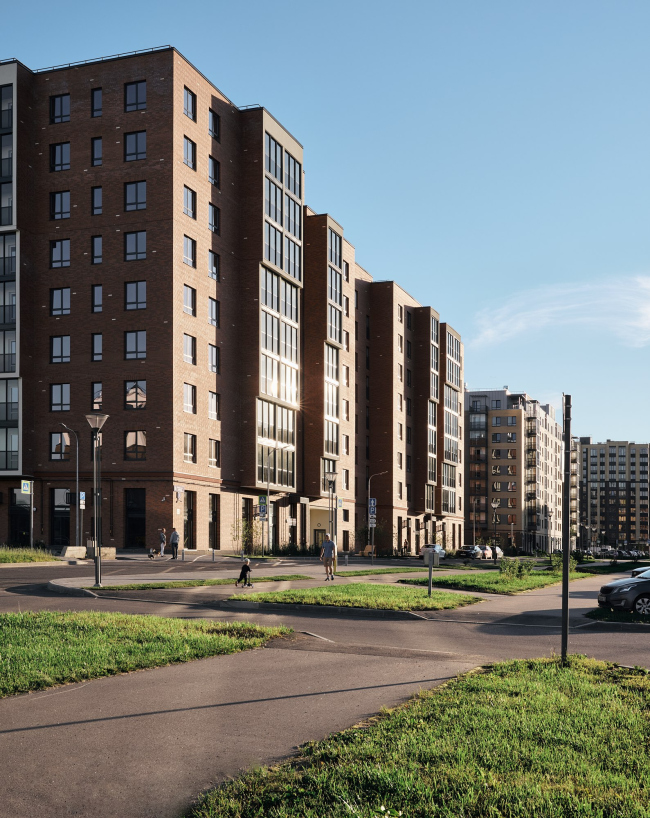 �� �NEW-����л