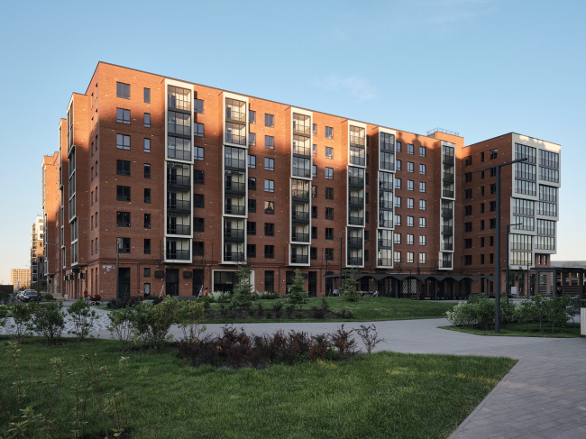 �� �NEW-����л