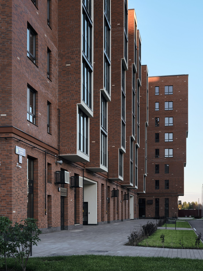 �� �NEW-����л