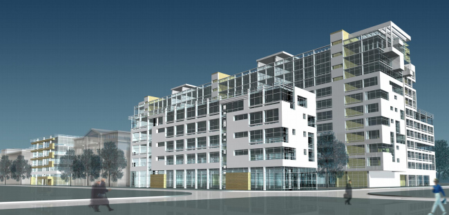 �����-���� - ������