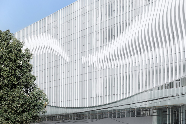 ����-�������� �������� BSH � �������