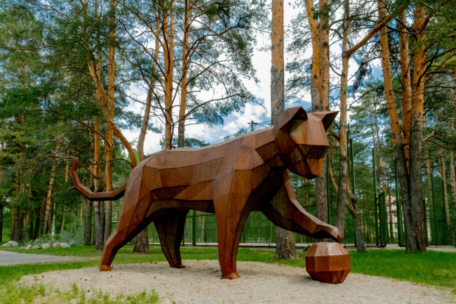 ���-������ �������� � �����, �������� � ��������� ������� �����������. ����� Forcera