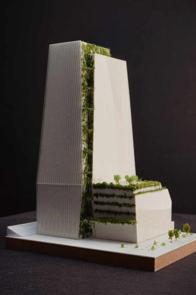 ����� NION