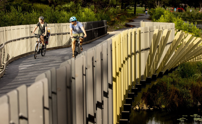 ���� ����