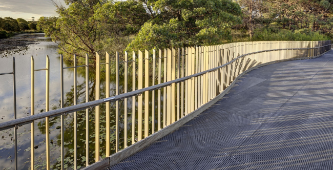 ���� ����