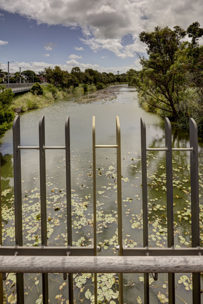 ���� ����