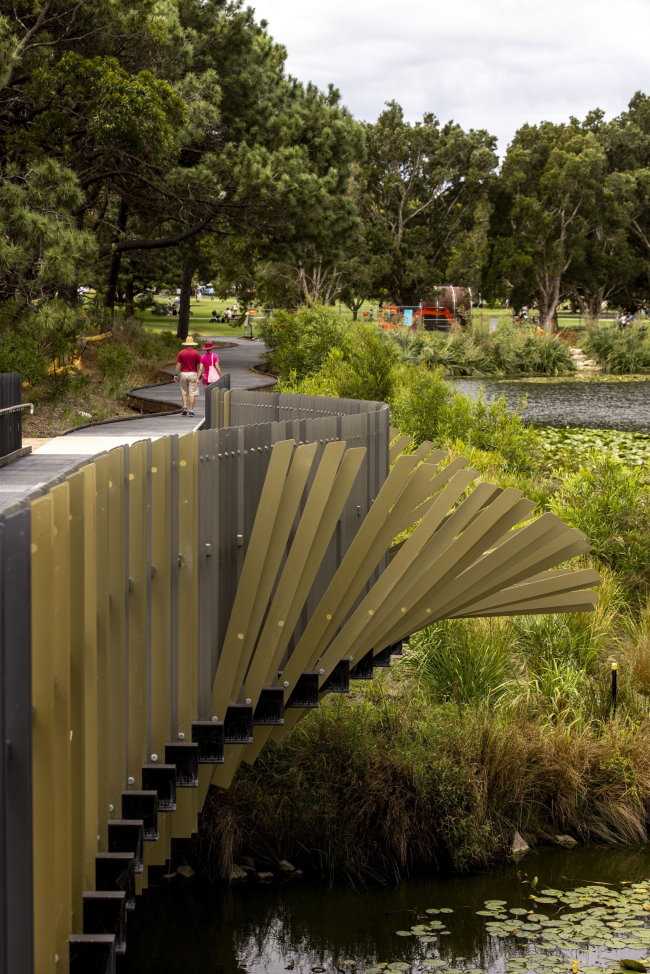 ���� ����