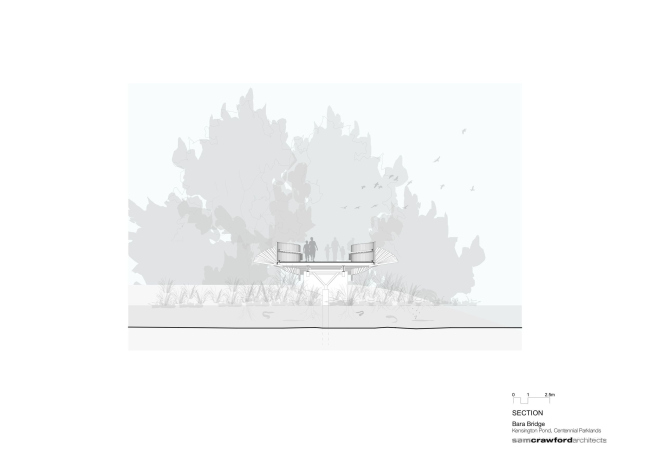 ���� ����