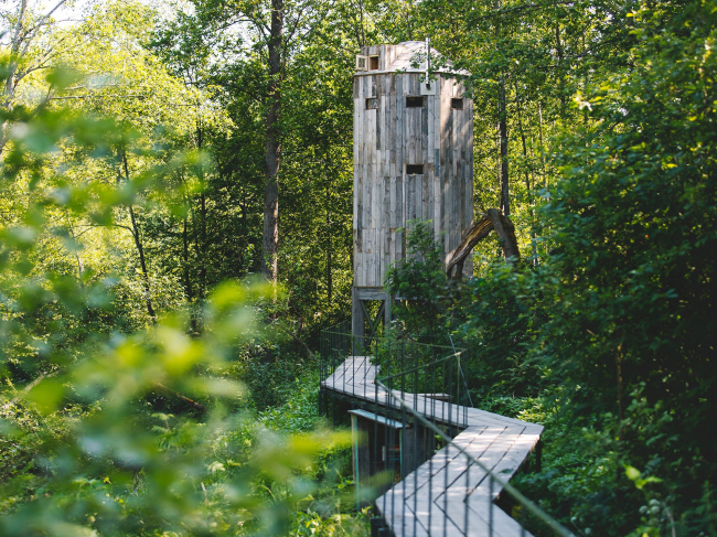 ���� ���������