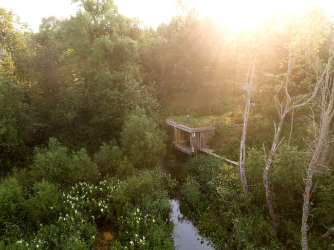 ���� ���������