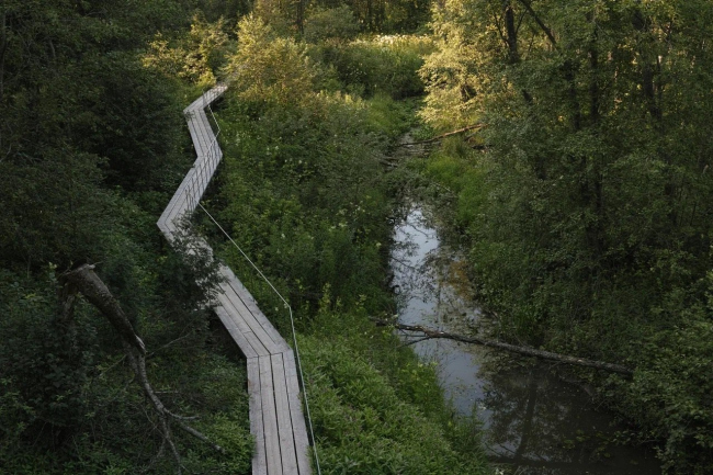 ���� ���������