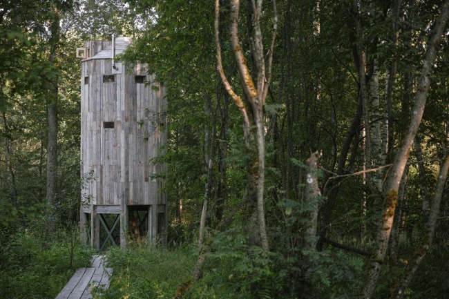 ���� ���������