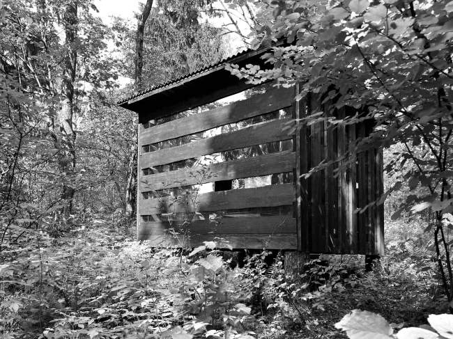 ��� ����������