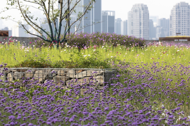 ��������� ��������� ������ ������ �������������� �� ���������� ���� � ������