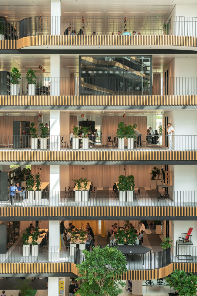 ������ Jakoba Mulderhuis �������������� ������������ ���������� ����