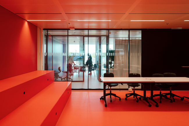 ������ Jakoba Mulderhuis �������������� ������������ ���������� ����