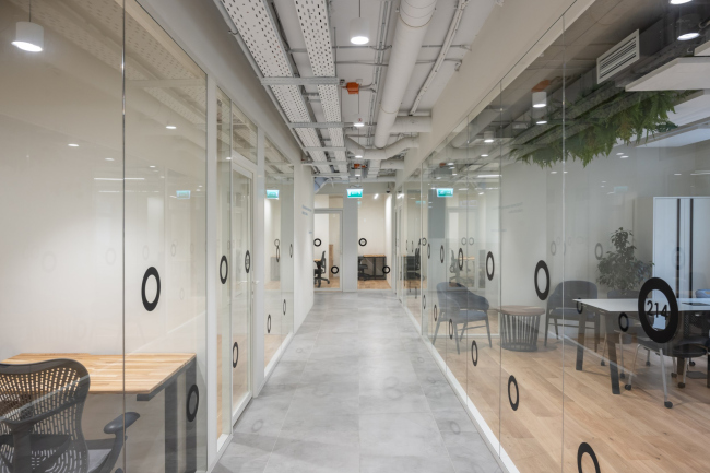 ��������� SOK �����������