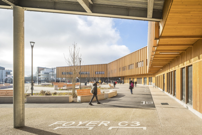 ������ ����� ���� ������� � ���������� ���