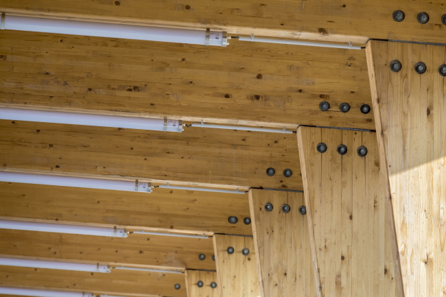 ������ ����� ���� ������� � ���������� ���