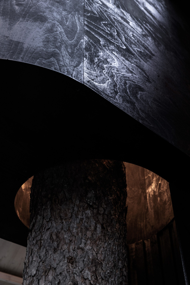 ��� �� ������ Koja