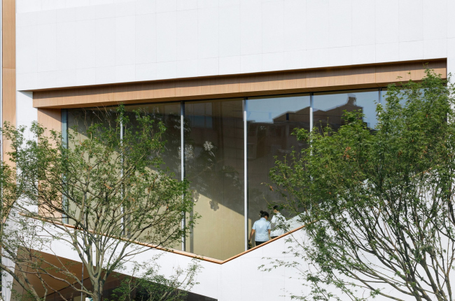 ���� ������ � ������� ���