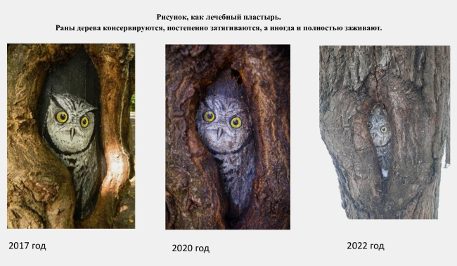 Environmental action “ParkArt”