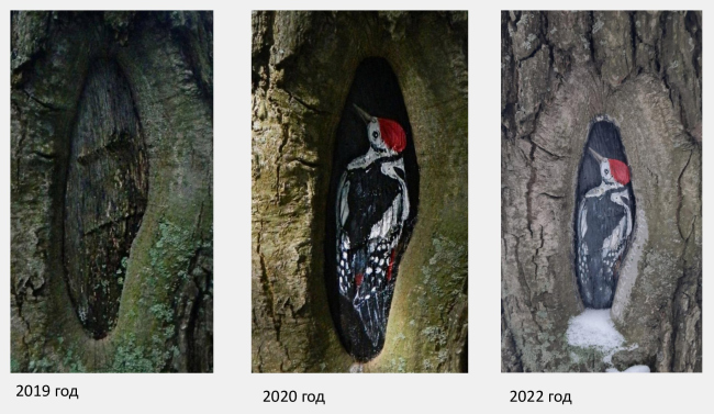 Environmental action ParkArt