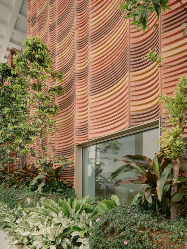 ��������������� ���� ���������