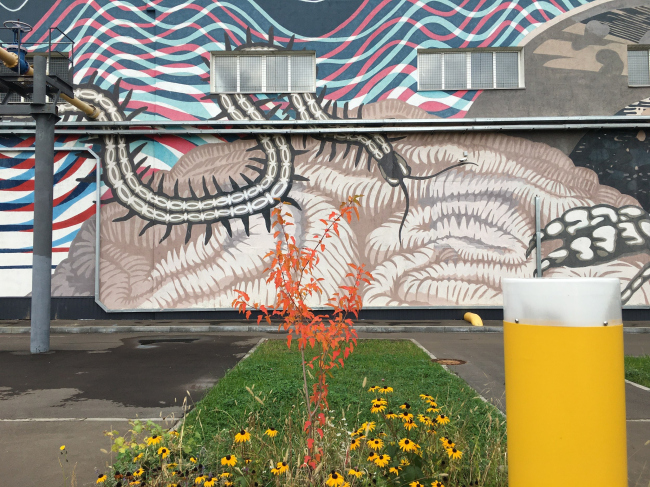 �������������� �����, �����������