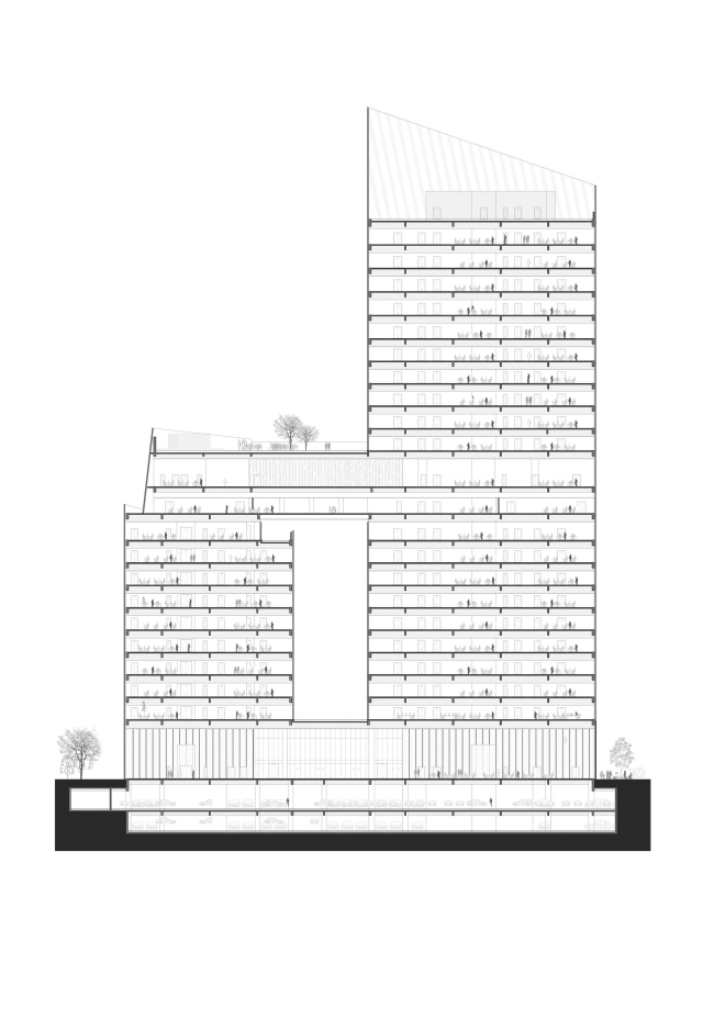 ����� Jushi