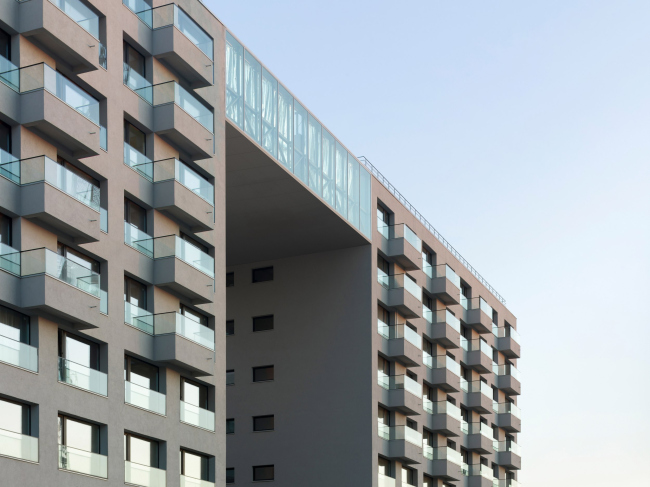 ��� �������� ������