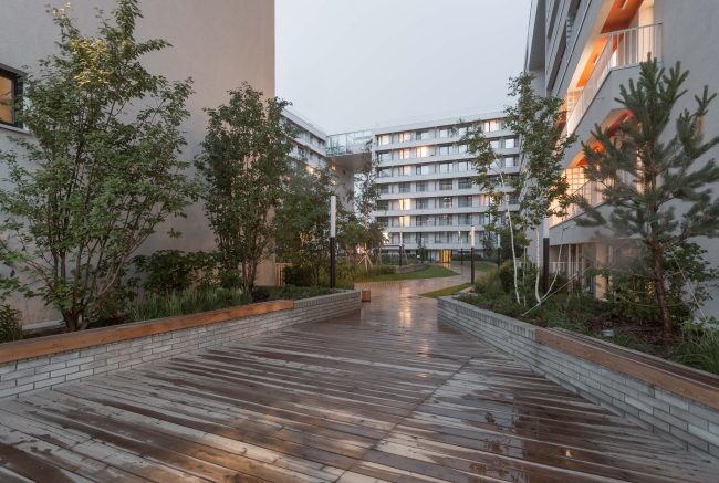 ��� �� ����