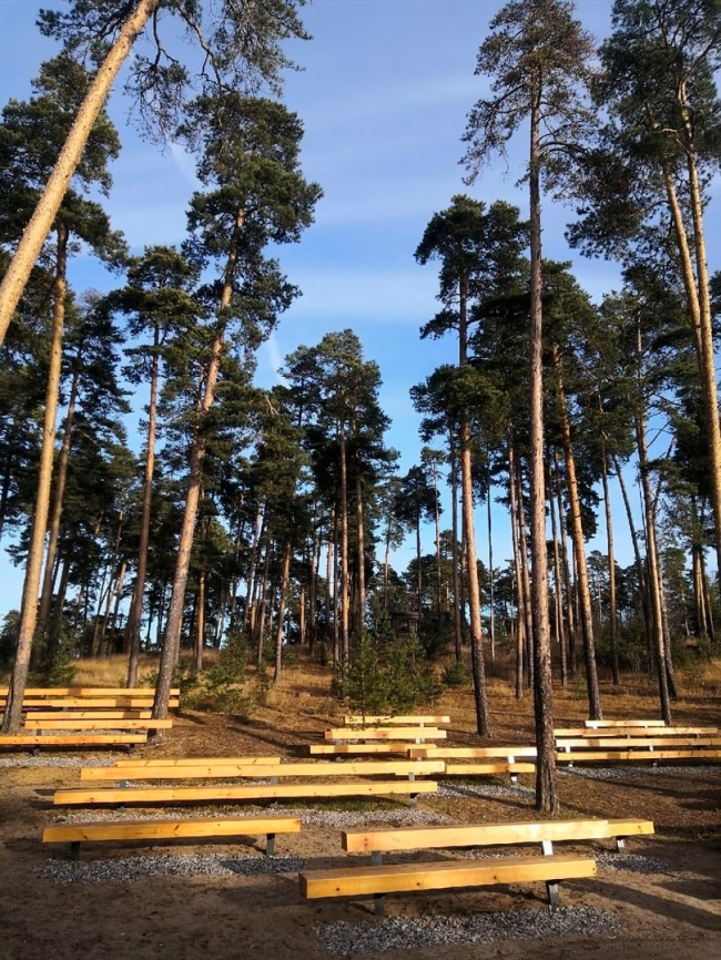 ������� ����. ���������