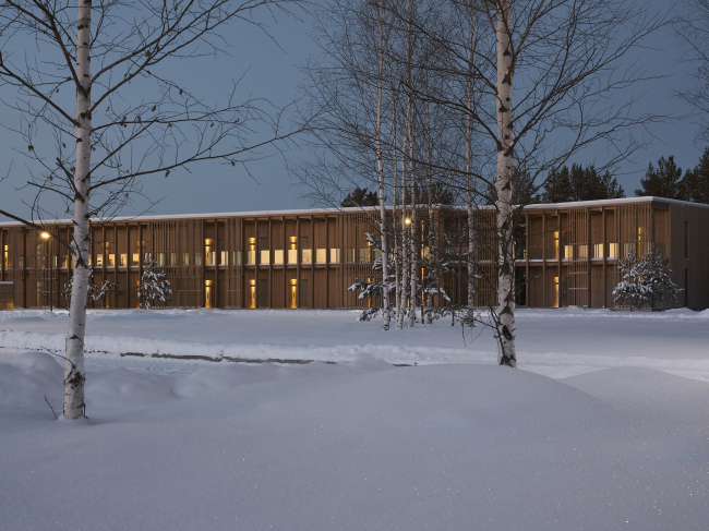 ����� ����� �� �����. �������� ����