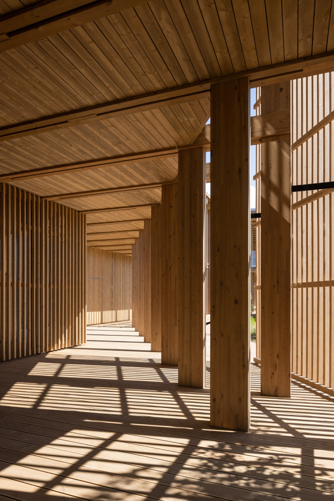 ����� ����� �� �����. �������� ����