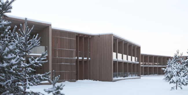 ����� ����� �� �����. �������� ����