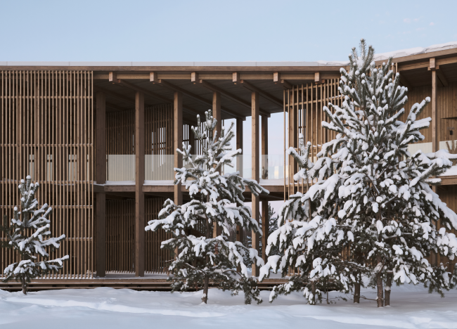 ����� ����� �� �����. �������� ����