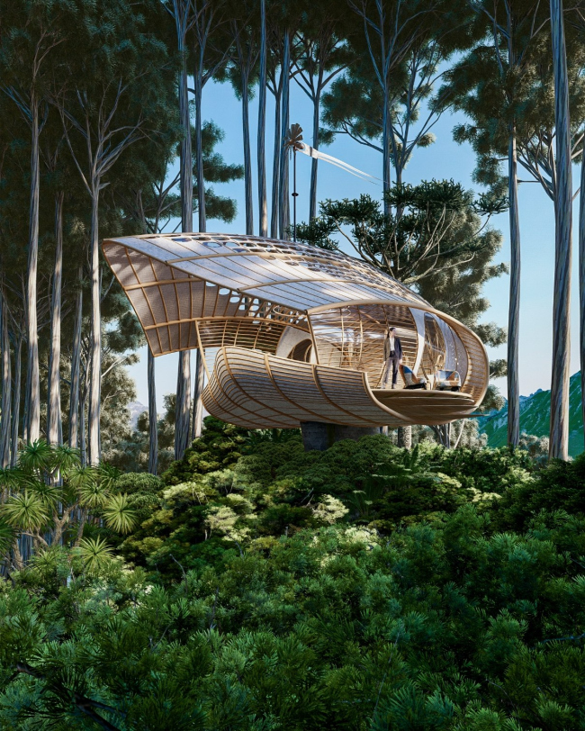 ����� Seed Cabin (����)