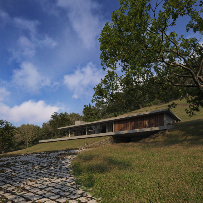 Casa Niebla (��������)