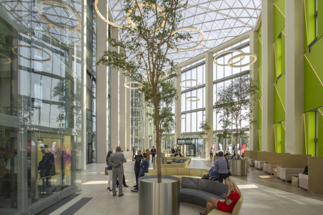 ����������� ������� � �������� 